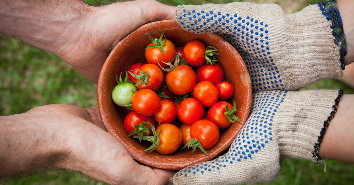 A picture of two hands sharing a bowl.