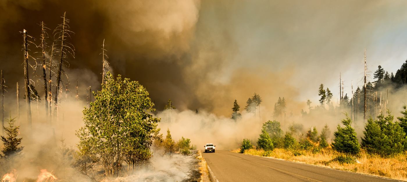 Photo of a forest fire, in relation to climate refugees.