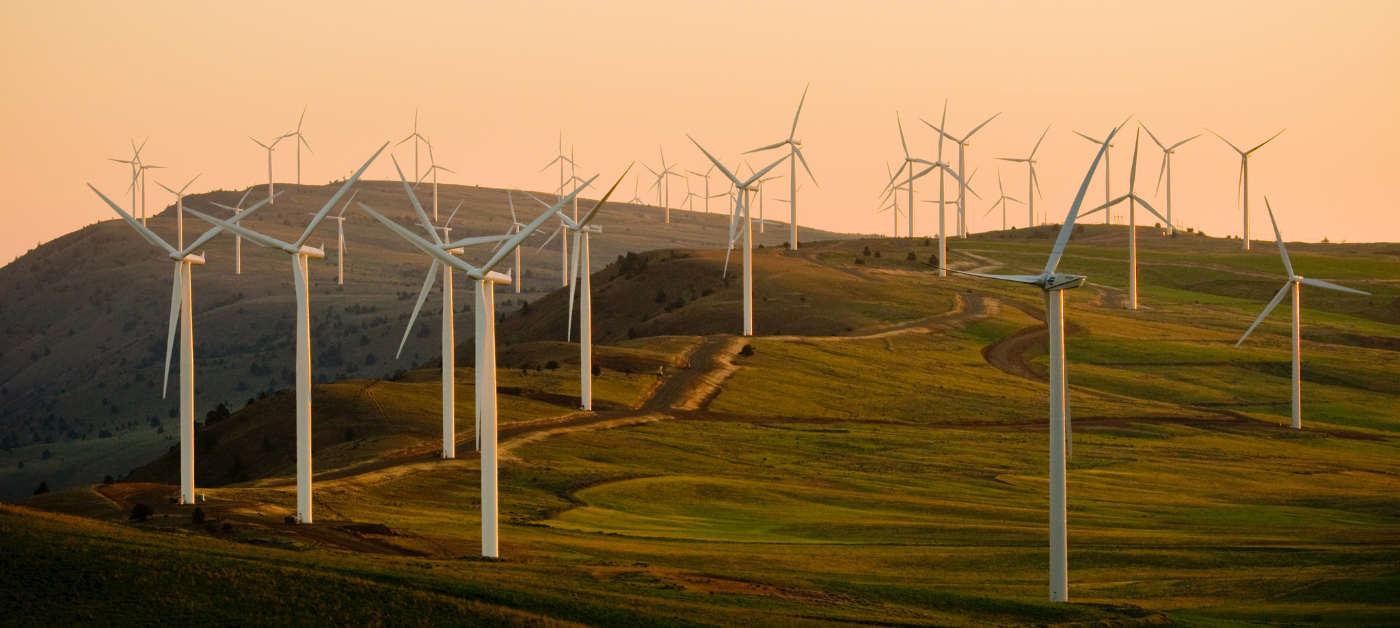 Picture of wind power farm on a field.